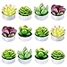 Swpeet Swpeet 12Pcs Decorative Succulent Cactus Tealight Candles Kit, Cute Smokeless Succulent Plants Perfect for Candles  - Image 2