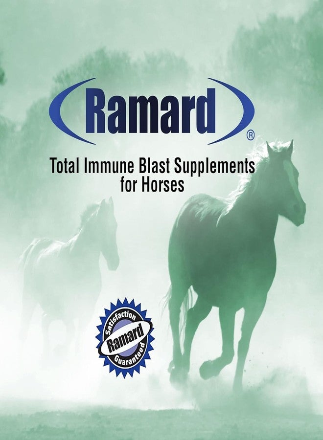 Ramard رامارد توتال إيميون بلاست - دعم مناعة الخيول، مكمل غذائي للخيول مع الزنك والسيلينيوم وأوميغا 3 وأوميغا 6 وفيتامينات مع نيوكليوتيدات، محقنة فموية سعة 30 مل، عبوة واحدة - Image 4