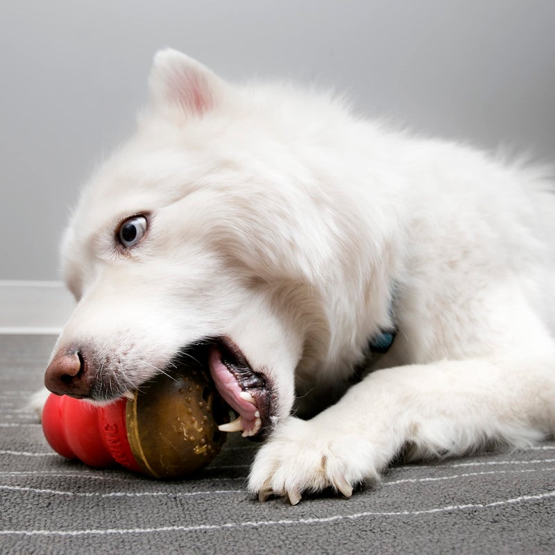 KONG Marathon - Pet Supplies for Training & Playtime - Healthy Dog Treat for KONG Dog Toys - For Large Dogs - Chicken Flavor - 2 Pack (4 Pieces Total) - Image 2