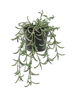 FEJKA Artificial plants in 9cm pot  - Image 1