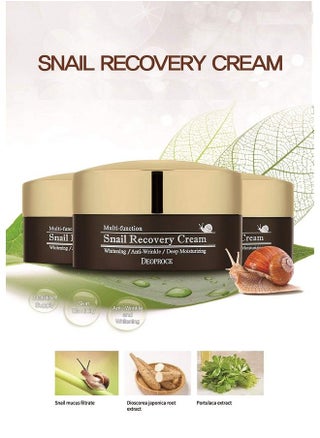 Snail Recovery Cream Snail Mucus Effect Korean Skin Care Multi Functional Cream Anti Wrinkle Deep Moisturizing (Snail Recovery Cream) - pzsku/Z8BDC4BB660D1F8B374B1Z/45/_/1686397054/48843e71-7554-4d36-99f0-530dfd375704