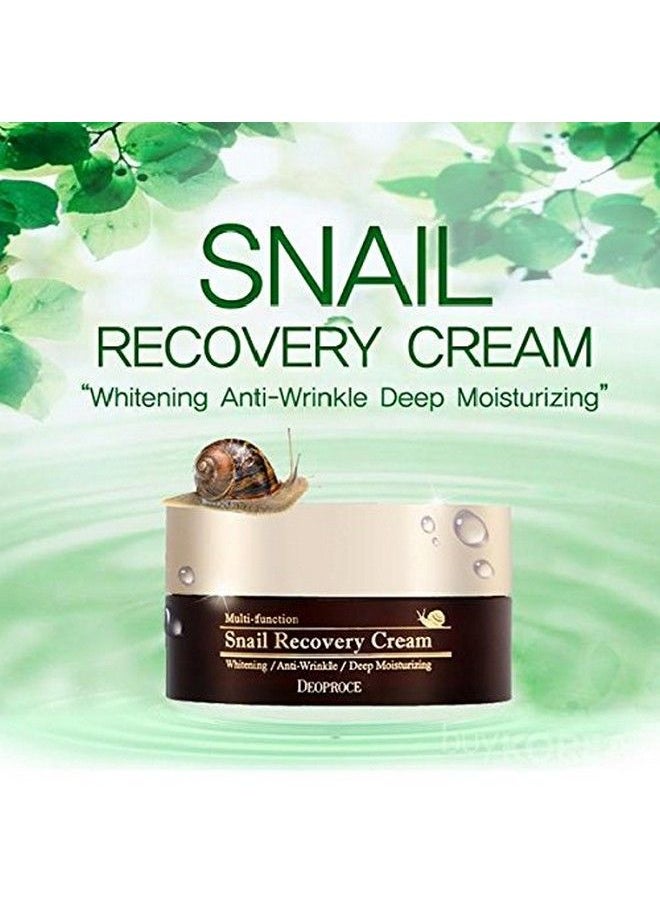 Snail Recovery Cream Snail Mucus Effect Korean Skin Care Multi Functional Cream Anti Wrinkle Deep Moisturizing (Snail Recovery Cream)