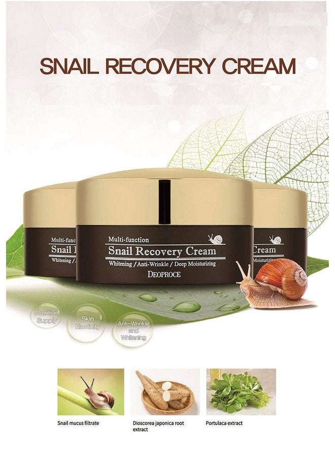 Snail Recovery Cream Snail Mucus Effect Korean Skin Care Multi Functional Cream Anti Wrinkle Deep Moisturizing (Snail Recovery Cream)