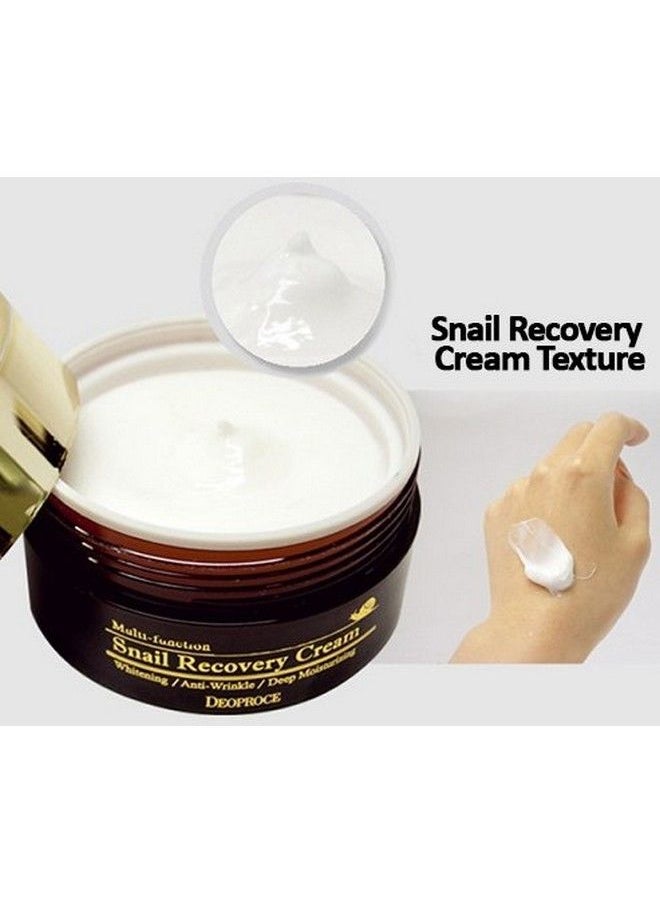 Snail Recovery Cream Snail Mucus Effect Korean Skin Care Multi Functional Cream Anti Wrinkle Deep Moisturizing (Snail Recovery Cream)