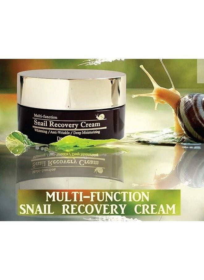 Snail Recovery Cream Snail Mucus Effect Korean Skin Care Multi Functional Cream Anti Wrinkle Deep Moisturizing (Snail Recovery Cream)