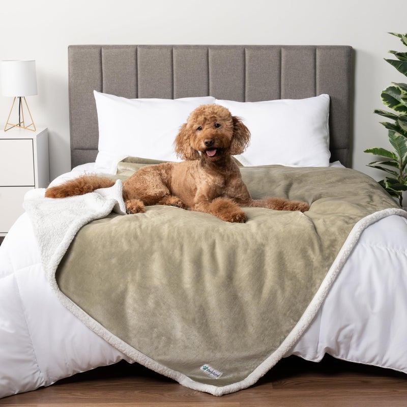 PetAmi Waterproof Dog Blanket for Queen Bed Large XL Dog Throw for Couch Cover Leakproof Furniture Protection Sherpa Fleece Reversible Soft Washable 90x90 Taupe