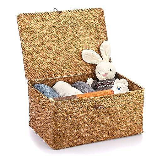 Hipiwe Wicker Shelf Baskets Bin with Lid, Handwoven Seagrass Basket Storage Bins Rectangular Household Basket Boxes for Shelf Wardrobe Home Organizer, Caramel X-Large - Image 1
