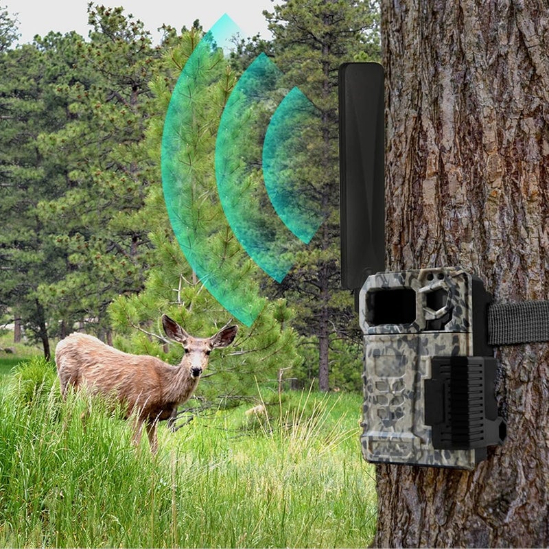 BINGFU 4G LTE Cellular Antenna RP-SMA Male 9dBi 10-Pack for Trail Game Camera, Wireless Router - Compatible with Spypoint, Stealth Cam, Cuddeback Trail Cam & Security Camera - Image 3