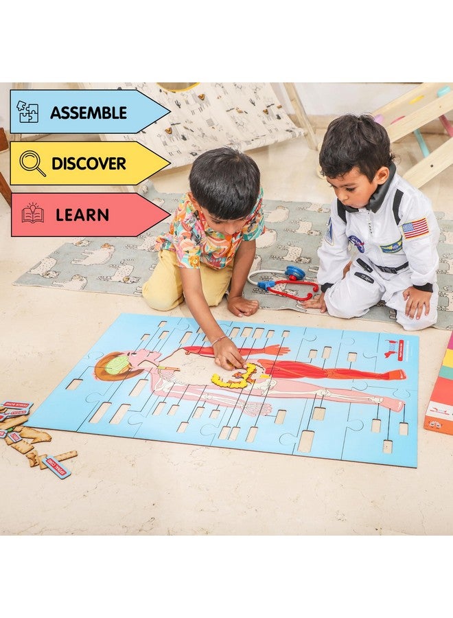 CocoMoco Kids Human Body Parts Puzzle For Kids - Giant Shape Cut Wooden Jigsaw Puzzle - 60+ Pieces - Stem Educational Toys Birthday Gift For Kids 4 To 10 Years - Image 3