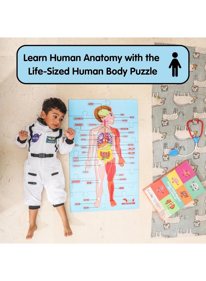 CocoMoco Kids Human Body Parts Puzzle For Kids - Giant Shape Cut Wooden Jigsaw Puzzle - 60+ Pieces - Stem Educational Toys Birthday Gift For Kids 4 To 10 Years - Image 2