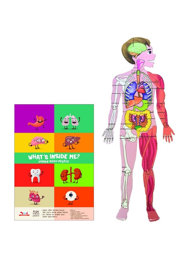 CocoMoco Kids Human Body Parts Puzzle For Kids - Giant Shape Cut Wooden Jigsaw Puzzle - 60+ Pieces - Stem Educational Toys Birthday Gift For Kids 4 To 10 Years - Image 1