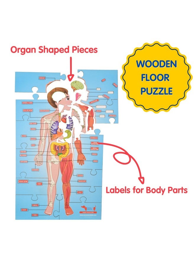CocoMoco Kids Human Body Parts Puzzle For Kids - Giant Shape Cut Wooden Jigsaw Puzzle - 60+ Pieces - Stem Educational Toys Birthday Gift For Kids 4 To 10 Years - Image 5