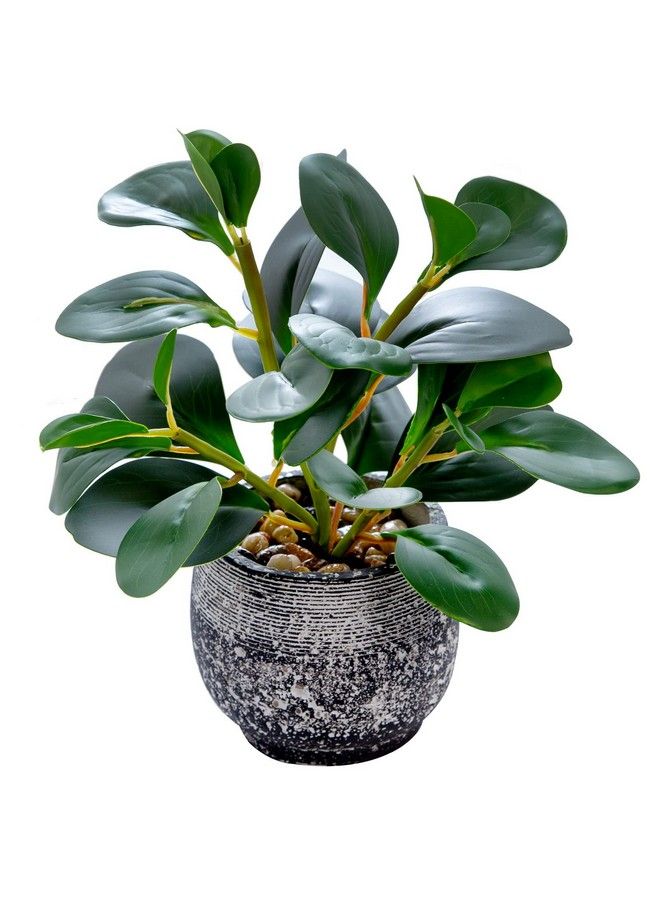 AlphaAcc Artificial Plants Potted Real Looking Small Faux Plant With Rustic Black Cement Planter For Kitchen Office Desk Bookshelf Decor (Ficus Plant) - Image 1