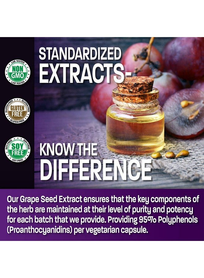 Bronson Grape Seed Extract 400 Mg Antioxidant & Immune Support Standardized Extract With 95% Proanthocyanidins Non Gmo 180 Vegetarian Capsules - Image 5