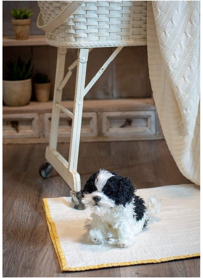 DEMDACO - Sitting Small Havanese Dog Black And White Children'S Plush Stuffed Animal - Image 1