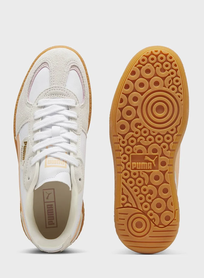 PUMA Palermo Lamoda