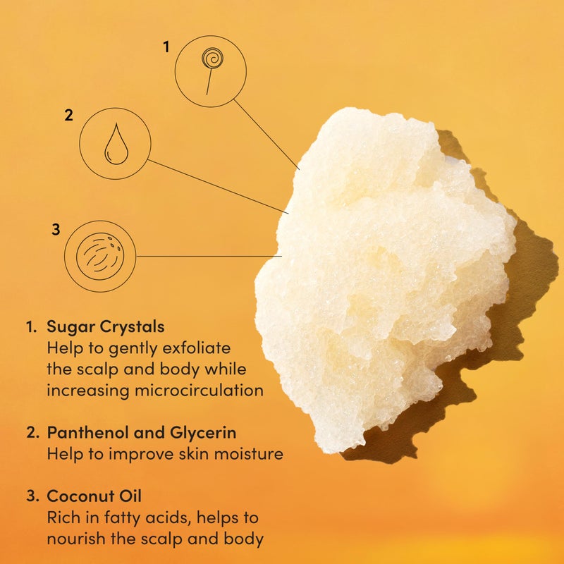 Ouai سكراب فروة الرأس والجسم من OUAI، سانت بارث - سكراب الجسم المقشر مع مزيج من السكر وزيت جوز الهند لبشرة ناعمة ومرطبة - سكراب فروة الرأس اللطيف لإزالة تراكم المنتجات (8.8 أونصة) - Image 3