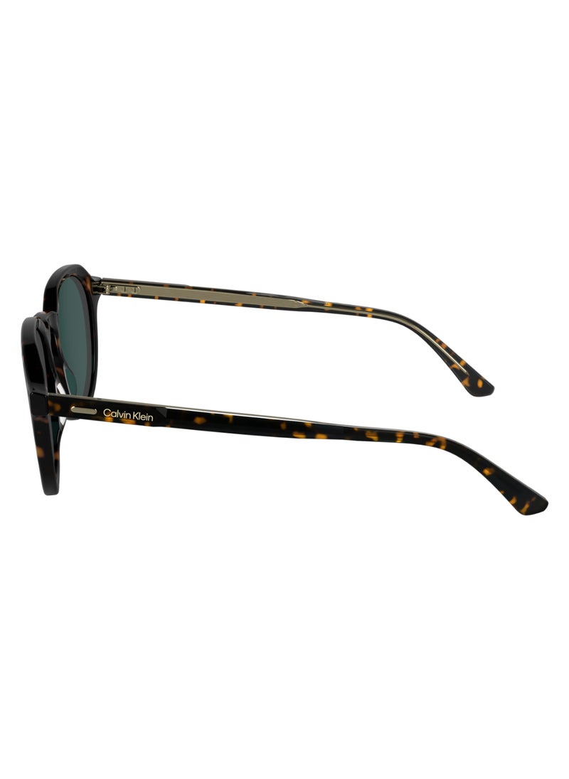 CALVIN KLEIN FULL RIM ACETATE ACETATE CALVIN KLEIN SUN CK24538S 5120 (235) DARK HAVANA  - Image 4