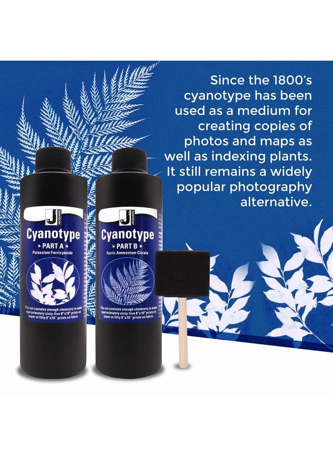 Moshify Jacquard Cyanotype - for Photographic Blueprints on Paper and Fabric - 2 Component Sensitizer Set - Bundled with Sponge Brush for Application - Image 2