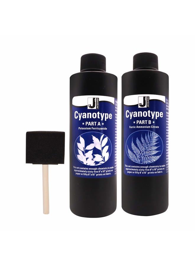 Moshify Jacquard Cyanotype - for Photographic Blueprints on Paper and Fabric - 2 Component Sensitizer Set - Bundled with Sponge Brush for Application - Image 1