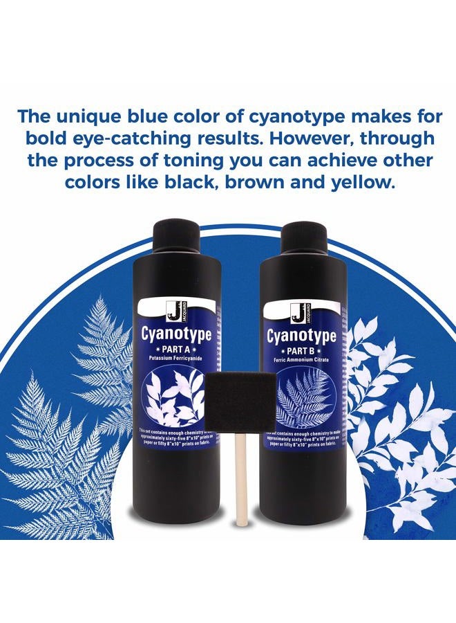 Moshify Jacquard Cyanotype - for Photographic Blueprints on Paper and Fabric - 2 Component Sensitizer Set - Bundled with Sponge Brush for Application - Image 3
