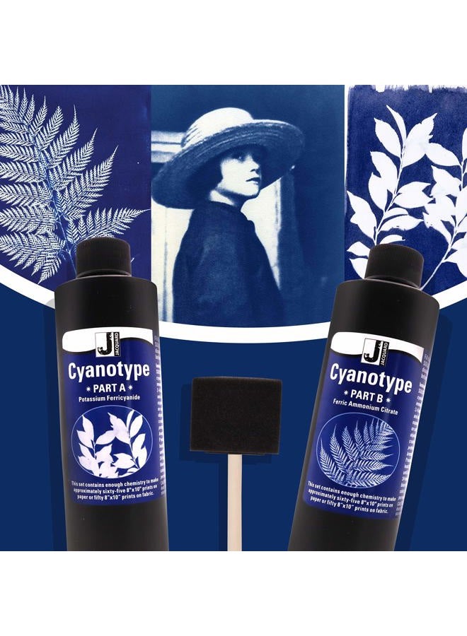 Moshify Jacquard Cyanotype - for Photographic Blueprints on Paper and Fabric - 2 Component Sensitizer Set - Bundled with Sponge Brush for Application - Image 5