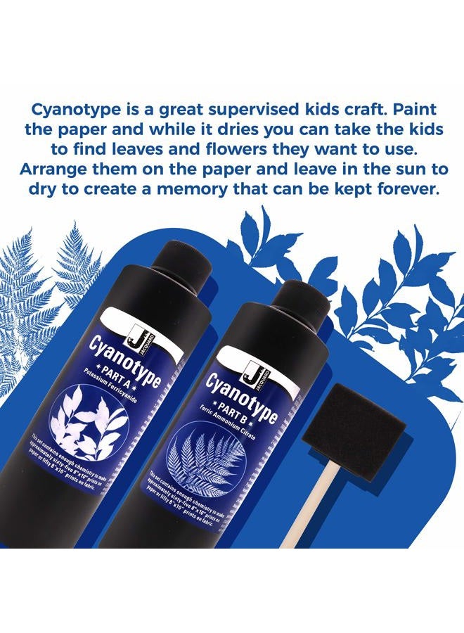 Moshify Jacquard Cyanotype - for Photographic Blueprints on Paper and Fabric - 2 Component Sensitizer Set - Bundled with Sponge Brush for Application - Image 4