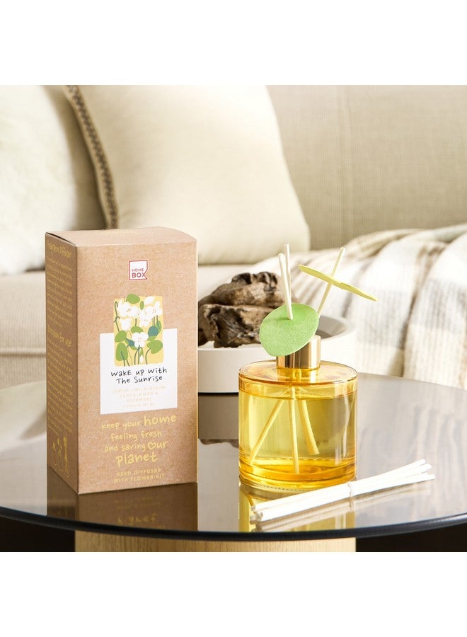 Home Box Abbey Urban Nature Wake Up with the Sunrise Reed Diffuser 180 ml  - Image 1