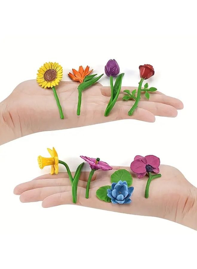 BL 1020 Flower Model 8pcs Educational Teaching Tools Lifelike Floral Display - Image 4