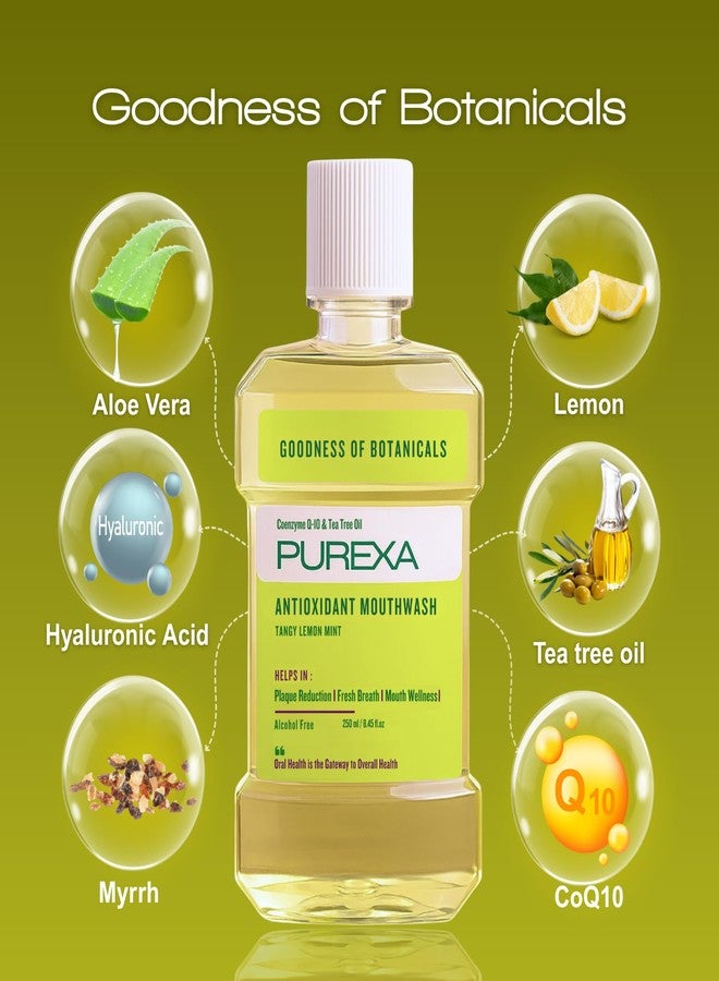 PUREXA غسول فم مضاد للأكسدة خالٍ من الكحول | بنكهة الليمون والنعناع | زيت شجرة الشاي والصبار | نفس منعش، إزالة البلاك، تقليل الإجهاد التأكسدي | لا يسبب إحساسًا بالحرقة | غسول فم يومي | عبوة من قطعتين، 250 مل لكل قطعة - Image 5