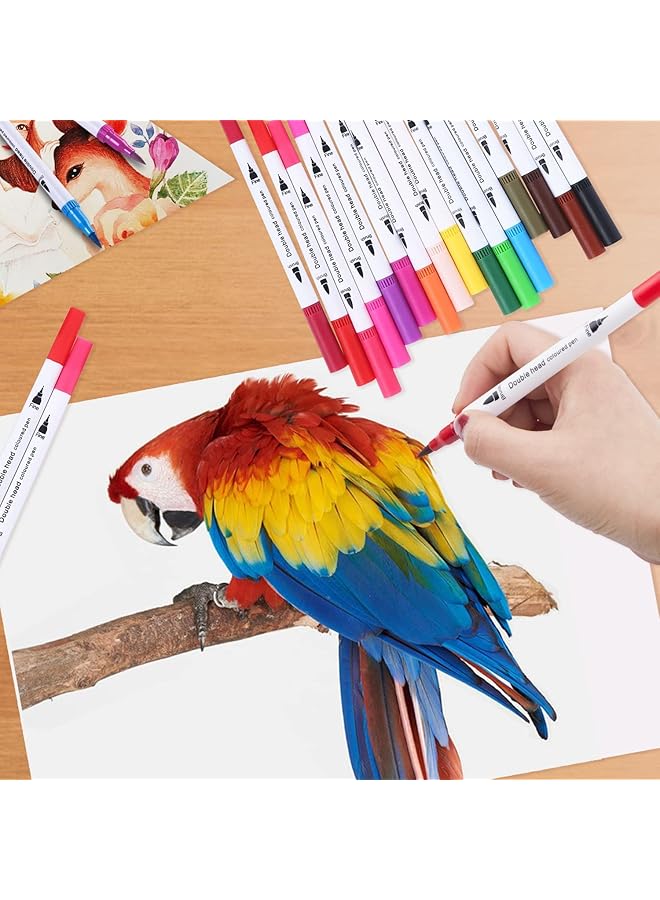 إيروريكس أقلام فرشاة وعلامات لكتب التلوين للكبار، أقلام خط للكتابة، أقلام فرشاة ذات رأسين للأطفال، أقلام تلوين للرسم، أقلام ذات رأس رفيع لمجلة الرسم، مخطط، 36 لونًا - Image 2