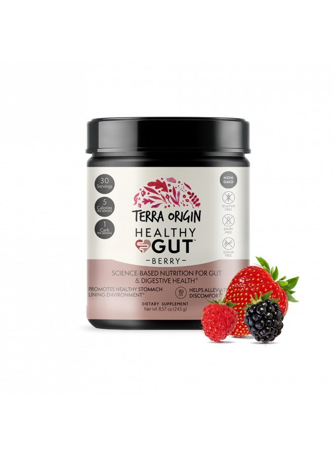 Terra Origin TERRA ORIGIN Healthy Gut Powder (Berry Flavor) |30-Servings with L-Glutamine, Zinc, Glucosamine, Slippery Elm Bark, Marshmallow Root and More!  - Image 1