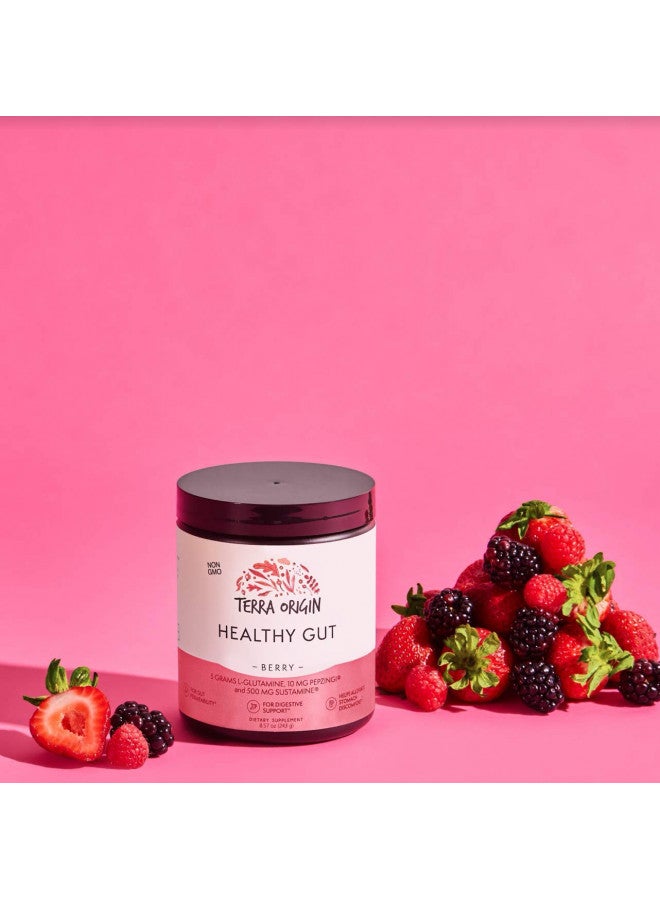 Terra Origin TERRA ORIGIN Healthy Gut Powder (Berry Flavor) |30-Servings with L-Glutamine, Zinc, Glucosamine, Slippery Elm Bark, Marshmallow Root and More!  - Image 4