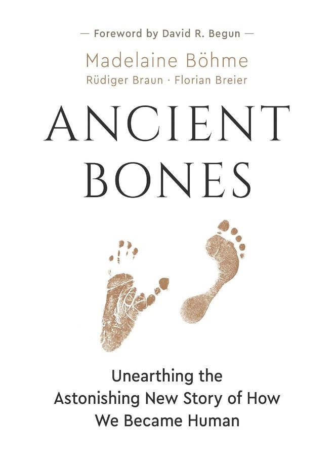 null - Ancient Bones: Unearthing the Astonishing New Story of How We Bec - Image 1