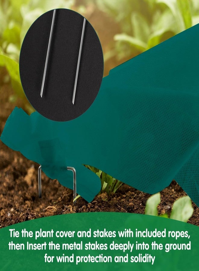 kockuu Plant Covers Freeze Protection, 10ft x 30ft Frost Plant Blankets for Outdoor Plants Winter Floating Garden Row Covers Non-Woven Fabric for Gardens Vegetables Frost Pests Protection, Dark Green - Image 3