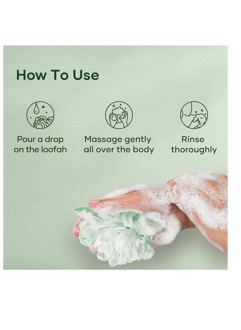Botanic Hearth Botanic Hearth Eucalyptus & Tea Tree Body Wash - 16 fl oz - Helps Soothe Skin, Refreshing and Invigorating, Cleansing Shower Gel for Men and Women - Sulfate Free, Paraben Free  - Image 4