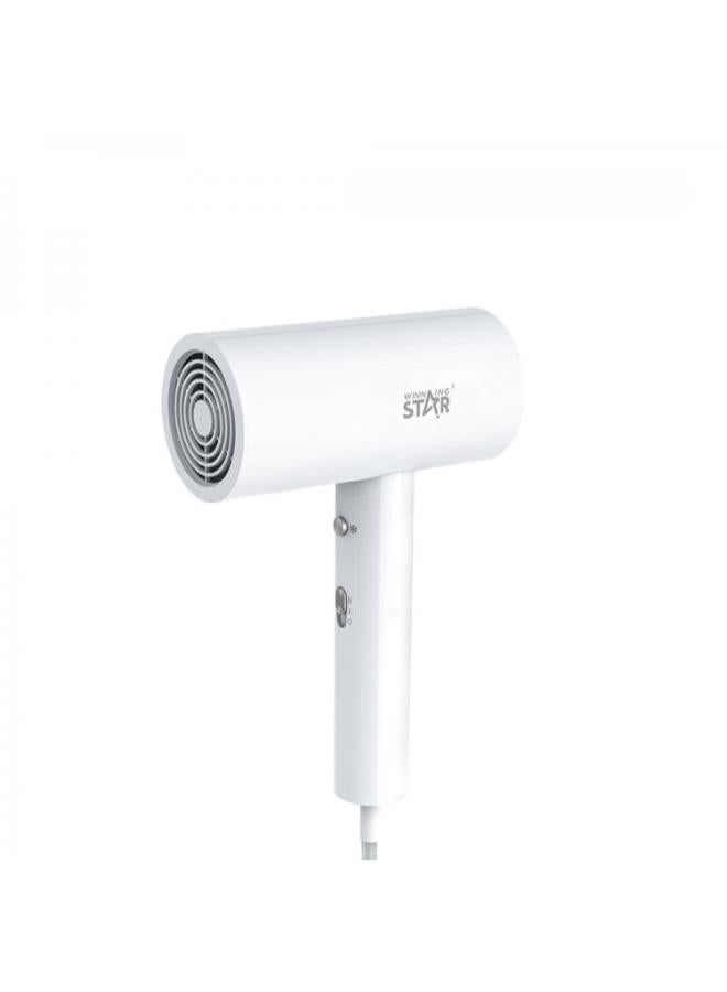 Electrical Hair Dryer