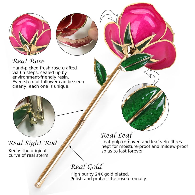 Sinvitron Gold Dipped Infinity Rose - Eternal Resin-Preserved Rose | Forever Flower Decor for Birthdays  Mothers Day  Anniversaries | Unique Gift for Women  Mom  Wife (Rose Red) - Image 3