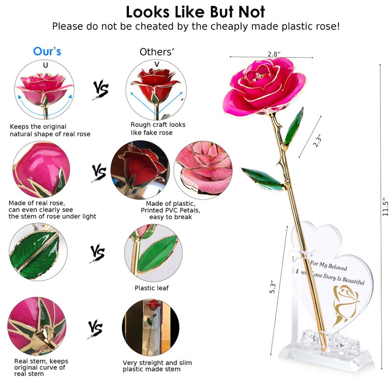 Sinvitron Gold Dipped Infinity Rose - Eternal Resin-Preserved Rose | Forever Flower Decor for Birthdays  Mothers Day  Anniversaries | Unique Gift for Women  Mom  Wife (Rose Red) - Image 2