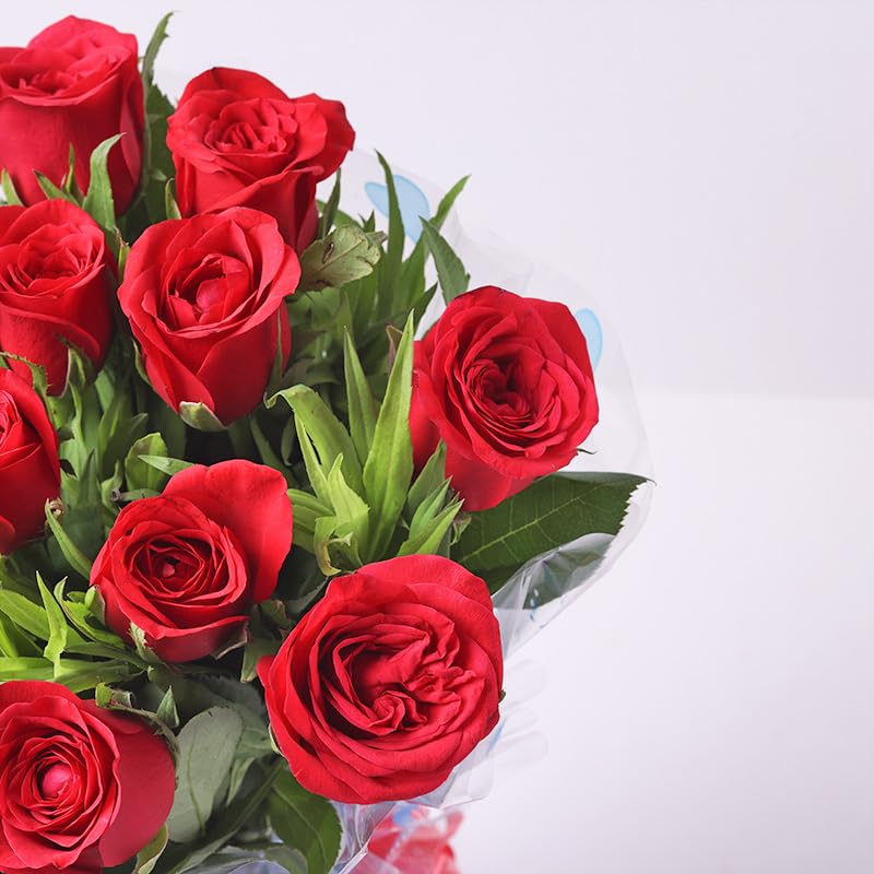 Floweraura FlowerAura Fresh Flower Bouquet Gift Red Fresh Live Roses With Wrap Paper Flowers Bouquet Valentines Day Gifts For Girlfriend Boyfriend Wife Husband Anniversary Set 6 Red Same Day Delivery - Image 3