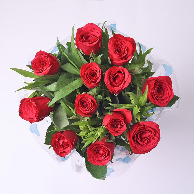Floweraura FlowerAura Fresh Flower Bouquet Gift Red Fresh Live Roses With Wrap Paper Flowers Bouquet Valentines Day Gifts For Girlfriend Boyfriend Wife Husband Anniversary Set 6 Red Same Day Delivery - Image 2