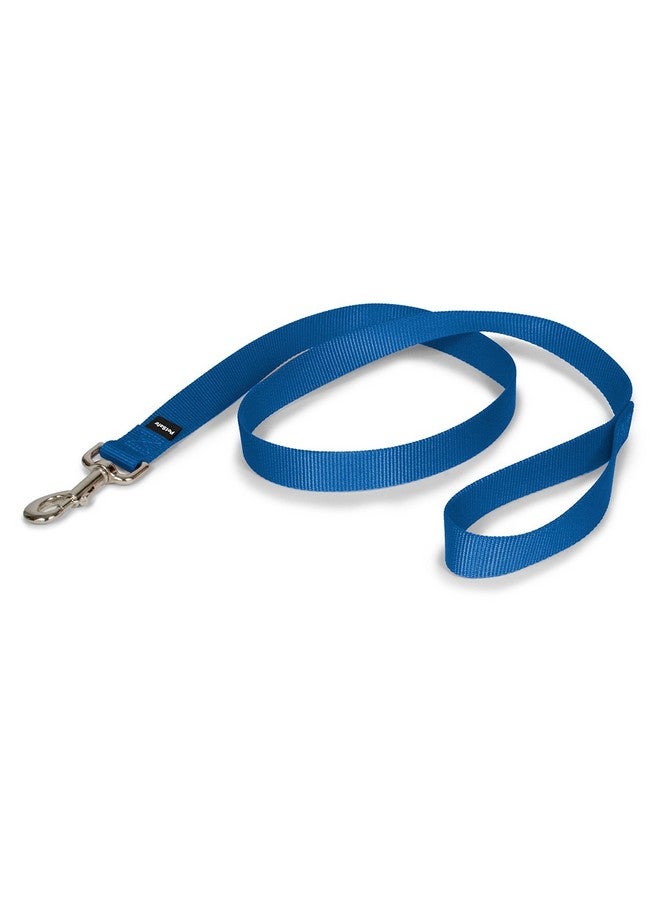 بيت سيف مقود الكلاب من النايلون من PetSafe - مقود قوي ومتين بتصميم تقليدي مع مشبك سهل الاستخدام - 1 بوصة × 4 أقدام، أزرق ملكي - Image 1