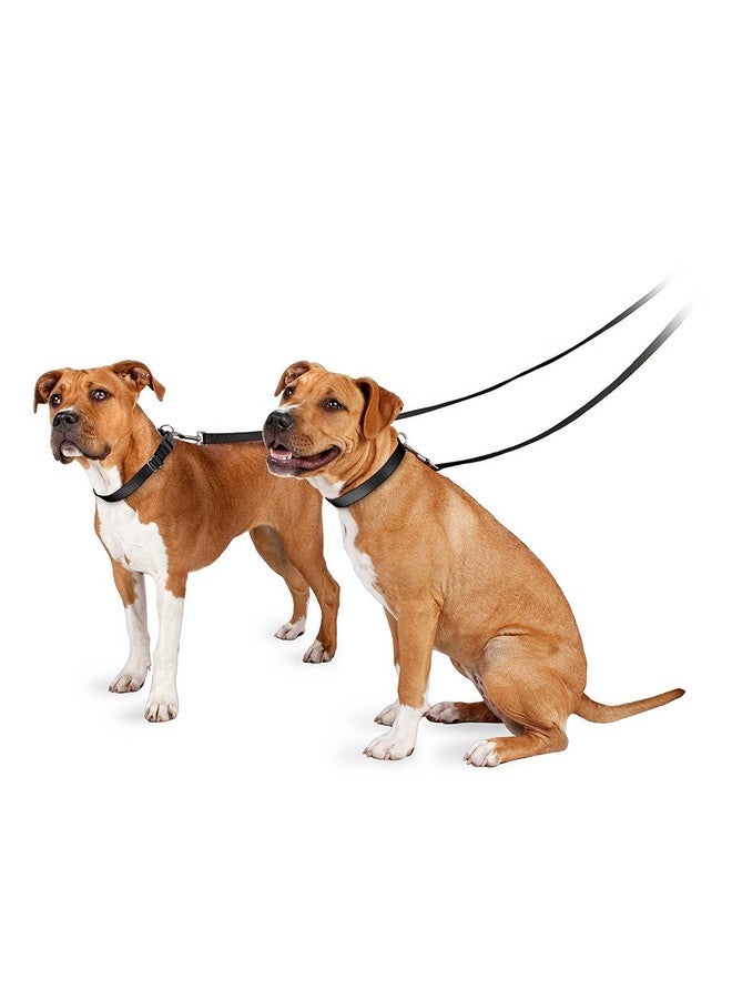 بيت سيف مقود الكلاب من النايلون من PetSafe - مقود قوي ومتين بتصميم تقليدي مع مشبك سهل الاستخدام - 1 بوصة × 4 أقدام، أزرق ملكي - Image 2