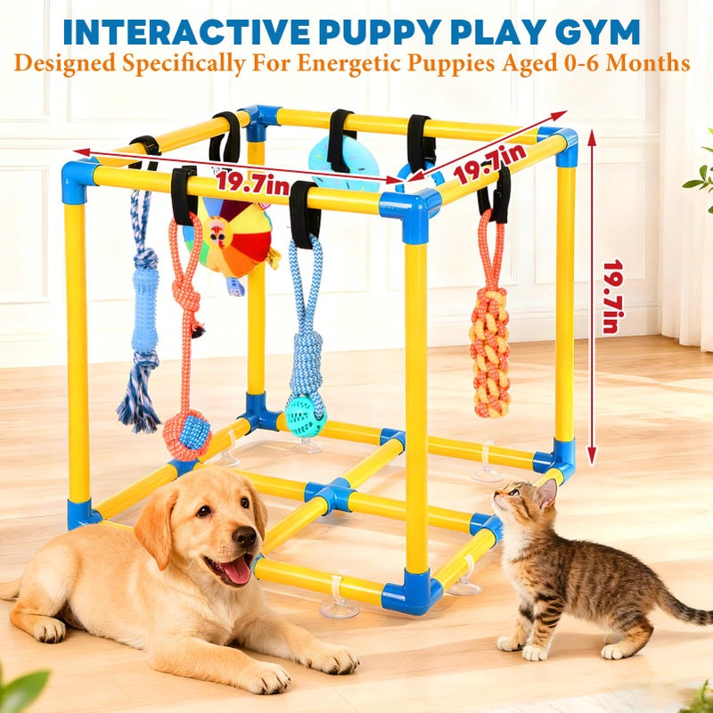 WLLEYAY Puppy Play Gym for Small Dogs with 10 Hanging Toys, Removable Indoor Jungle Gym, PVC Frame with Adjustable Bungee Straps, Interactive Dog Toys Tug Toys for Dogs Rope Toy to Keep Them Busy - Image 4