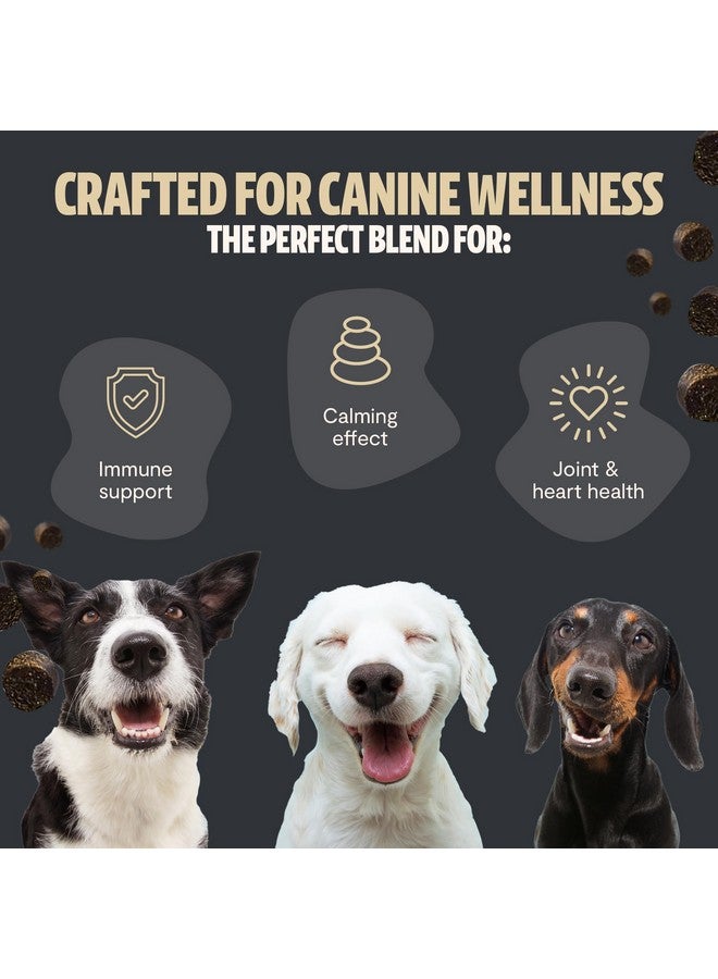 فريش كاب مشرومز فريش كاب شروميز - فطر ذيل الديك الرومي 13 في 1 للكلاب، مكمل غذائي ممتاز من الفطر للكلاب، يدعم مناعة الكلاب، مكملات لإزالة الأورام الشحمية، مكافآت مهدئة (180 قطعة مضغ ناعمة) - Image 4