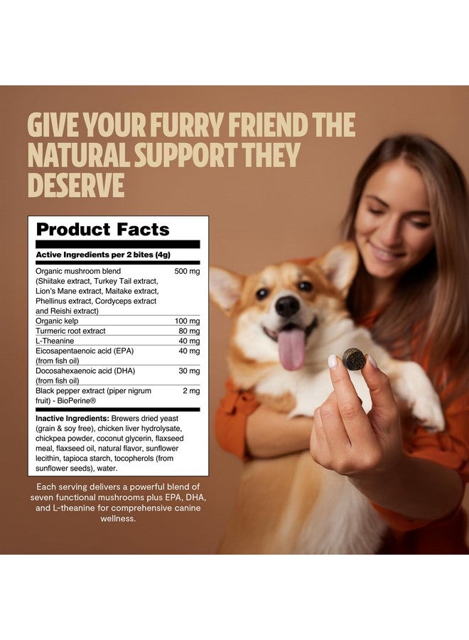 فريش كاب مشرومز فريش كاب شروميز - فطر ذيل الديك الرومي 13 في 1 للكلاب، مكمل غذائي ممتاز من الفطر للكلاب، يدعم مناعة الكلاب، مكملات لإزالة الأورام الشحمية، مكافآت مهدئة (180 قطعة مضغ ناعمة) - Image 3