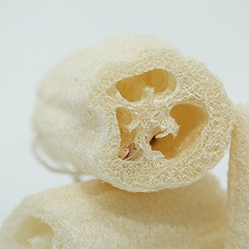 pisdoplop 4" Natural Loofah Exfoliating Body Sponge Scrubber, Plant-Based Organic Loofa Luffa for Men & Women Skin Care Bath Shower Cleaning Back & Fac, Natural Sponges for Dishes, Pack of 4 - Image 4