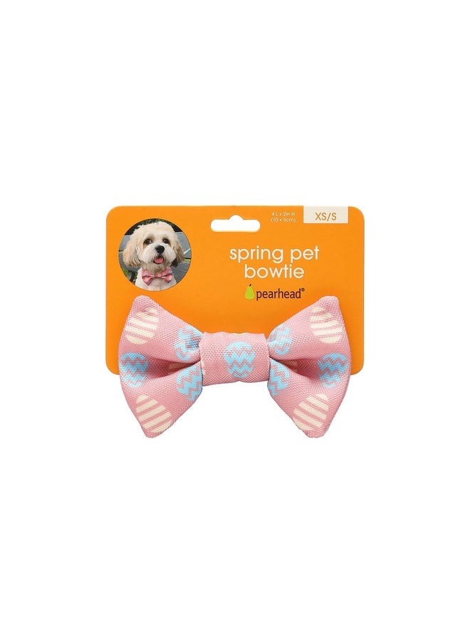 pearhead Pearhead Easter Egg Pet Bowtie, Holiday Pet Costume, Slide-On Collar Dog Bow Tie, Dog and Cat Apparel, Pet Accessory, XS/S  - Image 5