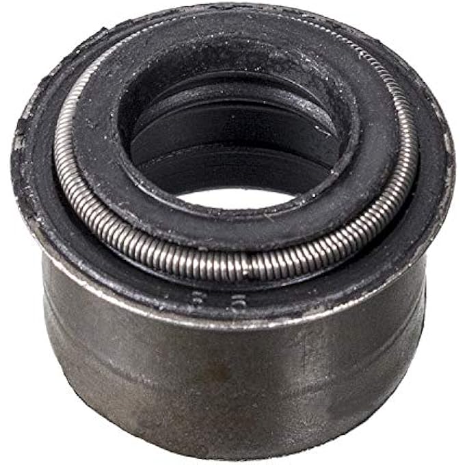 ختم ساق الصمام FBI بيلشتاين 8969