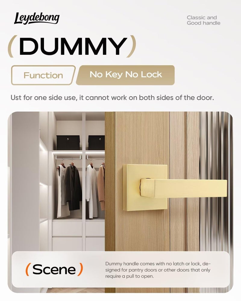 Leydebong 1 Pack Gold Door Lever Door Handle for Closets French Doors, Square Dummy Door Lever,Non-Turning Single Side Pull, Easy Installation Pull Only Lever Set - Image 2